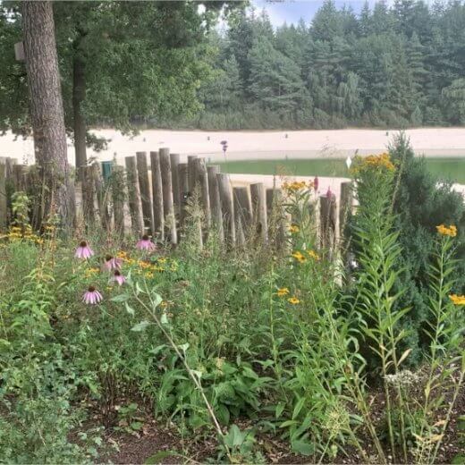 ‘t  Nije Hemelriek